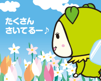 お花畑