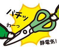 じつは怖がり？