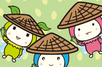 田植えの季節