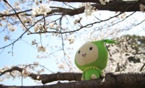 blog_import_553e351a8f553